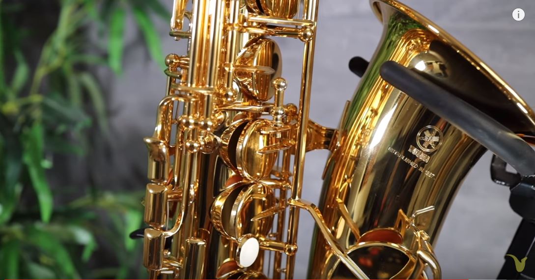 20 Best Saxophones the Top Sax Brands & Brands to Avoid WhistleAway